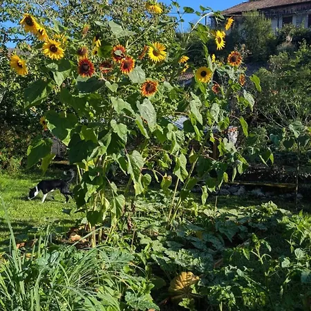 Tatil Evi Maison Independante Pres D'izaut-de-l'hotel Avec Jardin