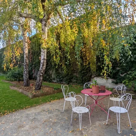 Maison Independante Pres D'izaut-de-l'hotel Avec Jardin 別荘 *