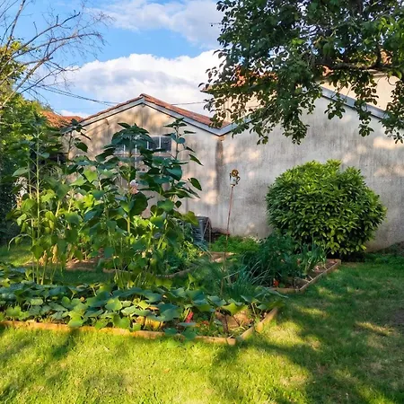 Maison Independante Pres D'izaut-de-l'hotel Avec Jardin 別荘